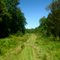 A Road Less Traveled
