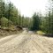 Verkhoyansk road