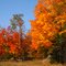 Autumn Colors