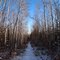 Lake County Demonstration Trail...Two Harbors, MN