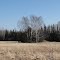 Open Field in Northern Minnesota in Feb