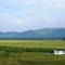 Virginia Farm