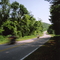 Shenandoah N.P., Virginia, U.S.A.