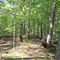 Rifle Camp Park