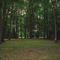 Tuers Park