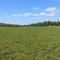 Panorama of a Field