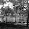 Minerva Lake Park  circa 1910