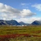 Oziernyi