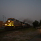 Norman, OK