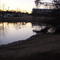 The Duck Pond 1