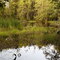 Siler Pond from west bank