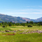 Riff Lake Washington / Olympus Evolt 500 / Panorama Factory