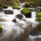 Johnson Creek