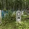 Forest cemetery