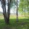 Окрестности п. Пластун (near Plastun)