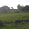 Amish Farm & Swimming Hole