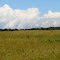 Route 956 Field
