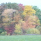 Beautiful Colors - near Leesburg-Grove City