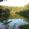 лесное озеро/the lake in forest