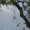 Spider 2002