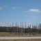 Owen's Pole Barn