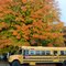 Indian Summer - Michigan (USA) 2009