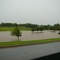 Flooded S.S. Forrest Park