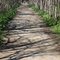 Hiking Trail in Nani Falcone Park, San Antonio, TX
