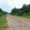 Остановка в лесу