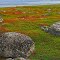 Solovki