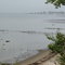 local fishery