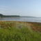 low tide in Unskaya Bay