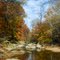 Dora Kelly Nature Park