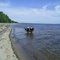 Берег Белого моря