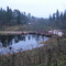 Old dam. Старая плотина в Белогорке