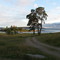 southern tip of Umba, view to the White Sea