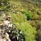 Brazos River ~ Mineral Wells