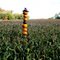 Mr Pumpkin Man....He's Lean & He's Tall