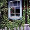 window dressing