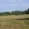 Russkoe pole..