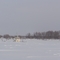 Теврйз