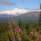 THE Mountain, Denali