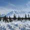 Winter Landscape near Broad Pass 21 March 2009