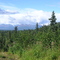 Mt. McKinley Panorama 09.2006