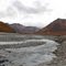 Denali National Park