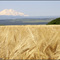 Вид на Эльбрус от Ессентуков - Elbrus view from Yessentuki