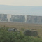 Mikrorayon