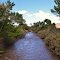 east walker river