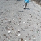 Glass Beach, Barren Island