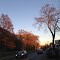 Colors of Fall in New York City. New York. USA.